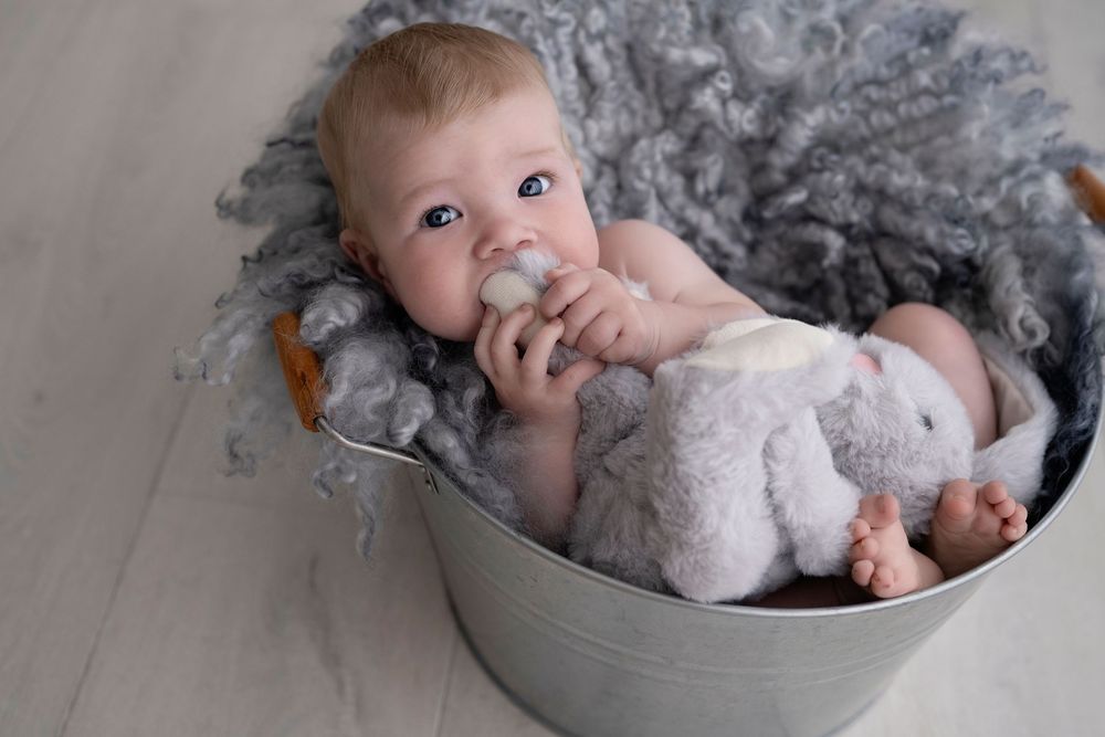 A baby lies in a metal basin with a plush toy, surrounded by soft gray textiles.