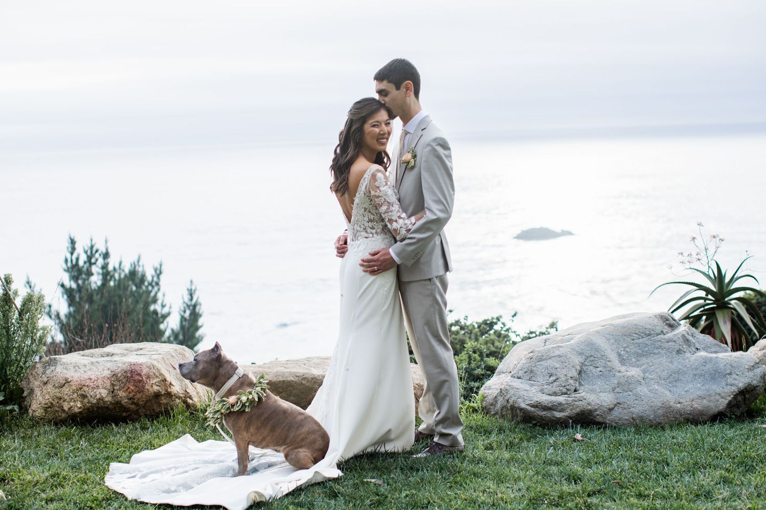 A couple in wedding attire embraces on a grassy hilltop with a brown dog sitting nearby on a blanket.