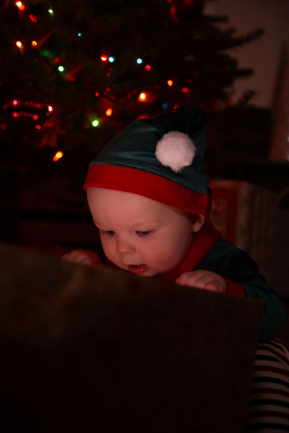 Small figure wearing a winter hat gazes down with Christmas lights twinkling in background.