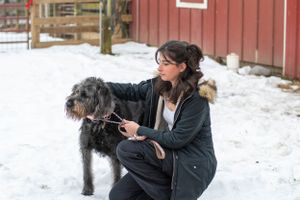 Person in winter coat kneeling beside large black shaggy dog in snowy setting near red barn.