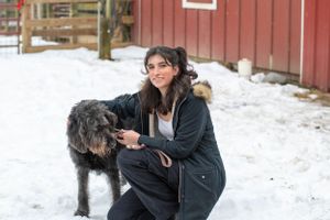 A large black dog and person posing together in front of a red barn in snowy weather.