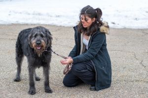 A large black shaggy dog stands next to someone kneeling on a path with snow in background.