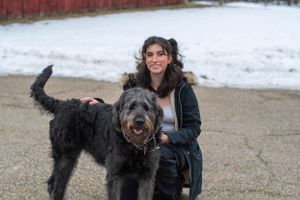 A happy black shaggy dog stands on a path while being petted near a red barn.