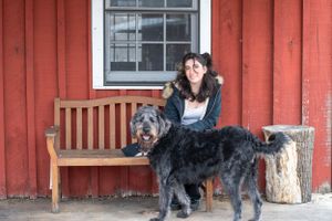 A large black dog and person sitting on a wooden bench outside a red barn.