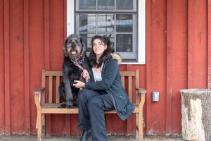 Black shaggy dog sits on wooden bench against red building exterior.