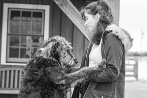 Black furry dog stands on back legs interacting with a trainer outside.