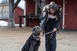Large black dog with gray muzzle takes training commands outdoors near red building.