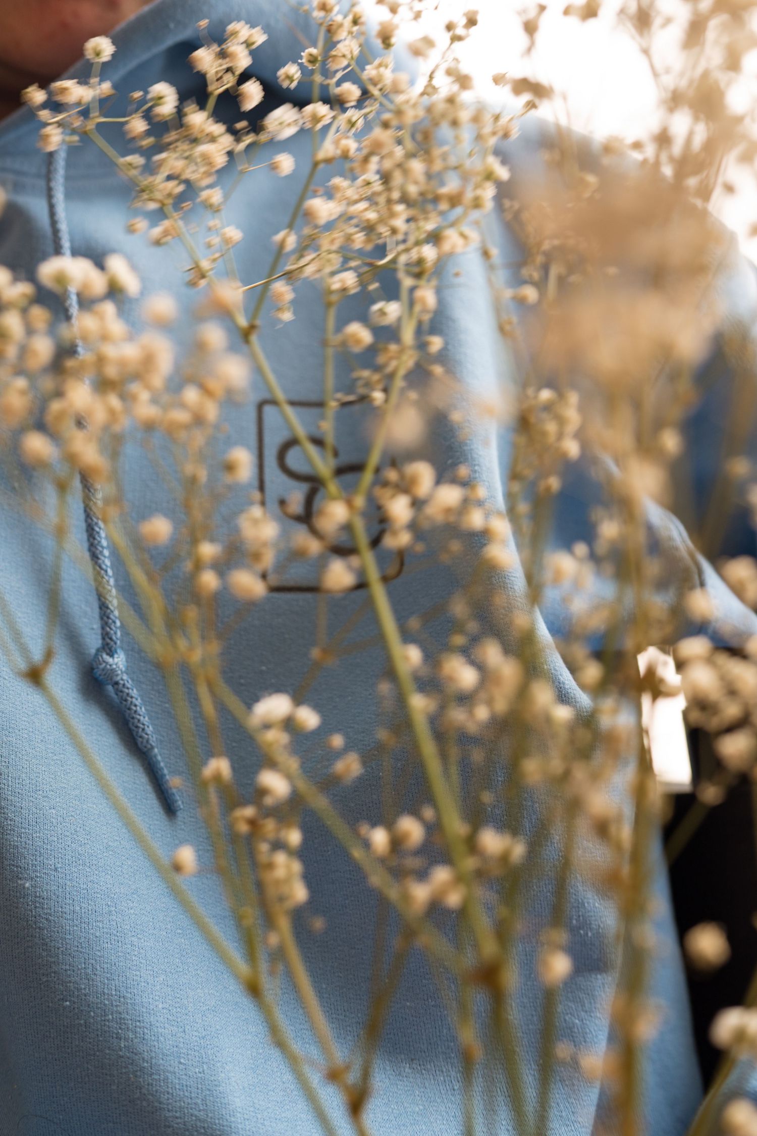 Person in blue hoodie holding delicate dried wildflowers with small white buds in soft natural light.