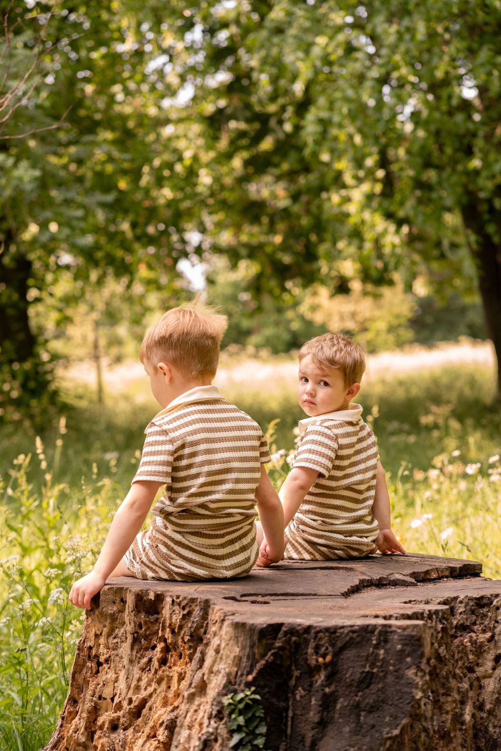 Two young boys in matching striped outfits sitting on a large tree stump in a sunny green park.