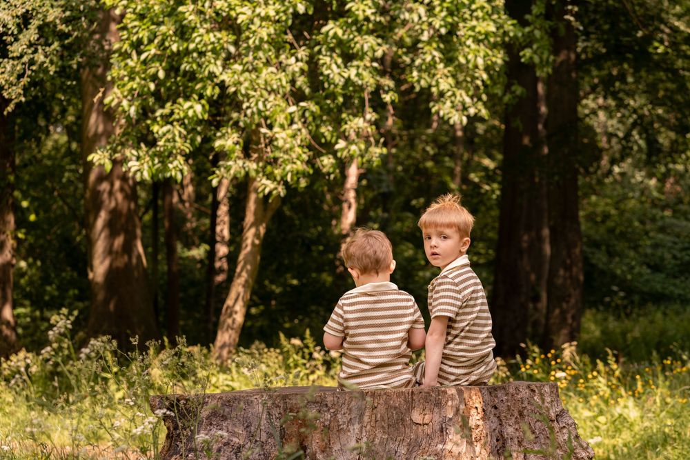 Two young boys in matching striped shirts sit on a tree stump in a sunny green forest park.