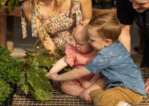 Two young children sit together near green plants on a metal grate surface while being supervised.