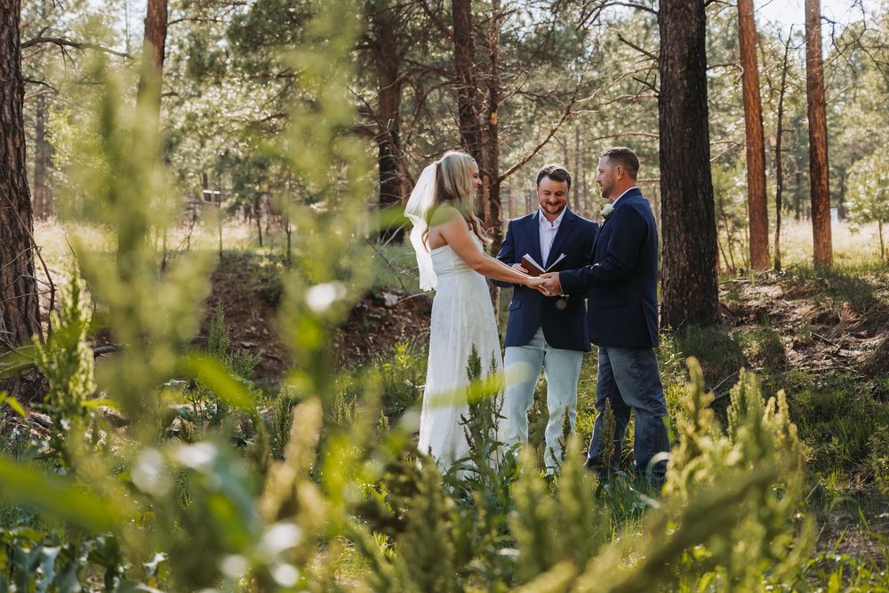 Couple exchanges vows in a sunlit forest wedding ceremony with an officiant, surrounded by lush greenery and tall pine trees.