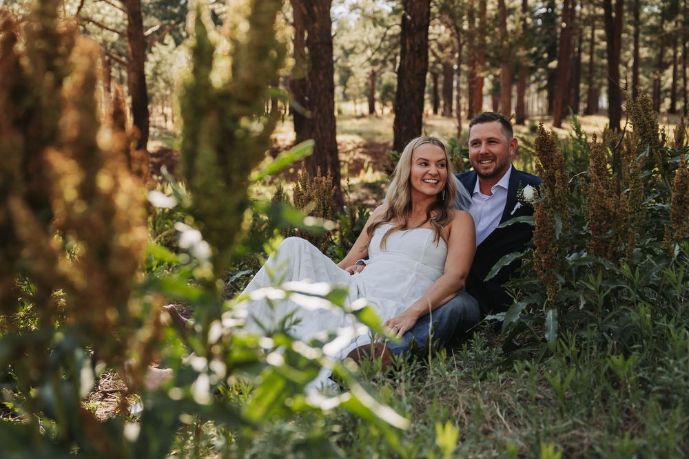 A bride and groom sitting together in a sunlit forest, smiling warmly among tall pine trees and lush greenery.