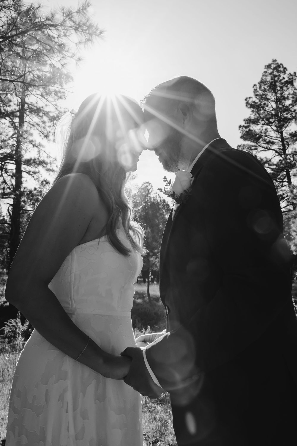 Black and white wedding photo of couple touching foreheads with sun flare through trees in romantic outdoor setting.