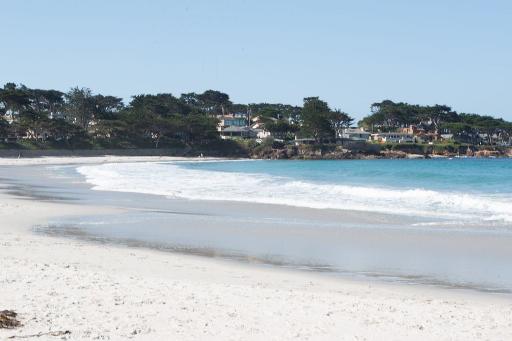 Pristine white sand beach with gentle waves, turquoise water, and tree-lined coastal homes in Carmel-by-the-Sea, California.