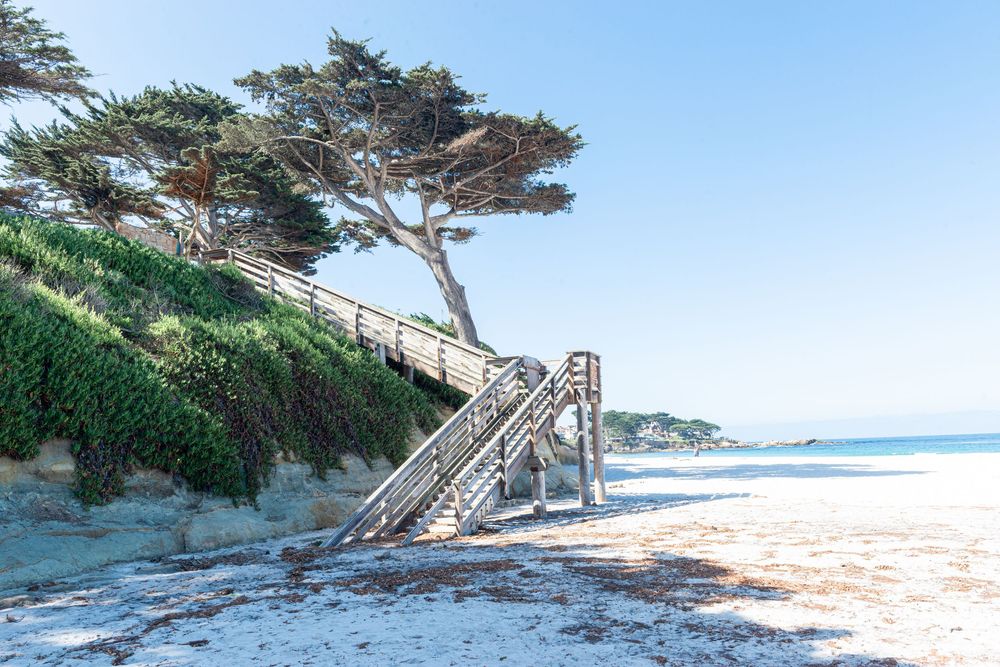 Wooden beach stairs leading to a sandy shore with cypress trees and green ivy on a sunny California coastline.
