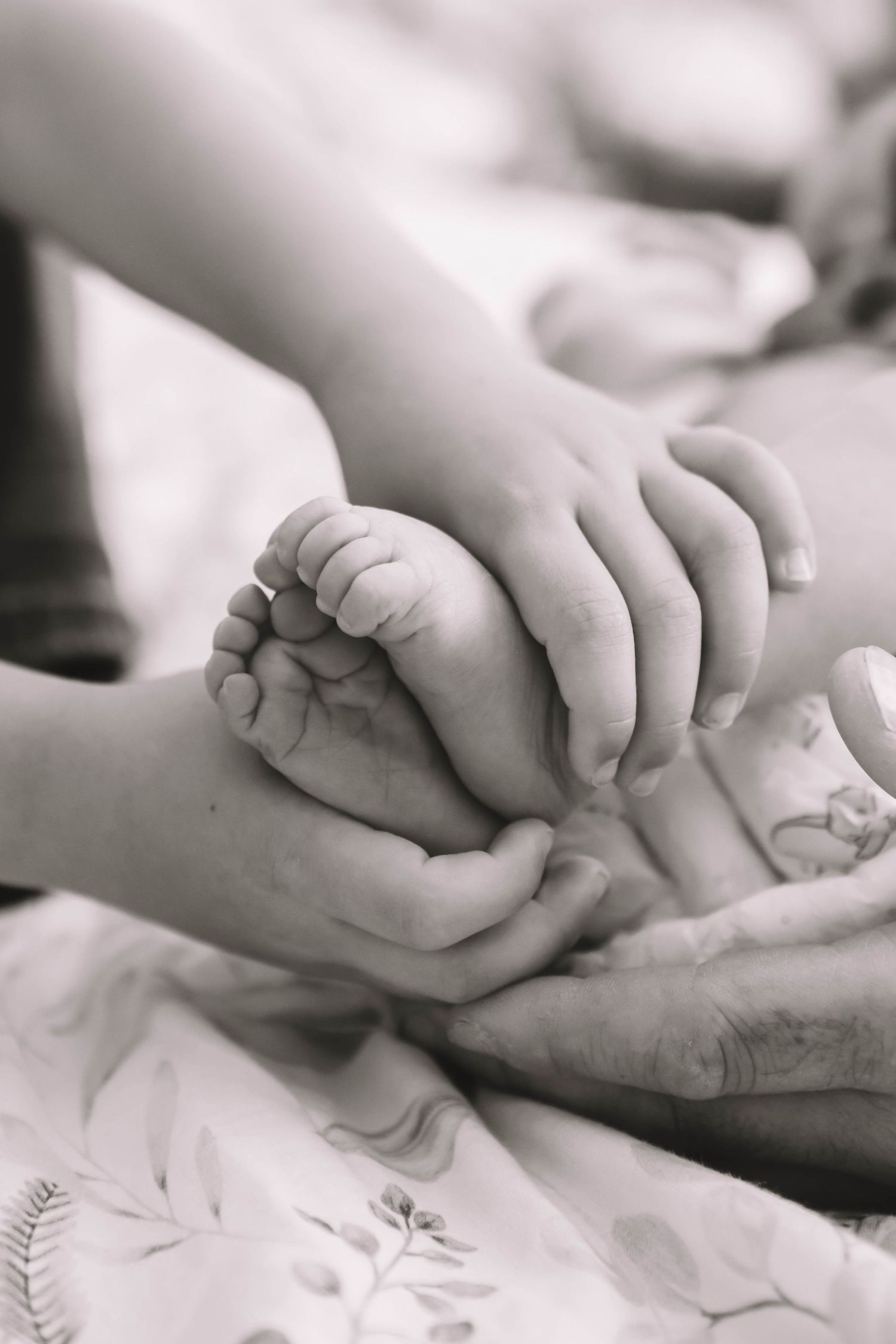 Black and white photo of a newborn baby's tiny feet cradled gently in multiple generations of family hands.