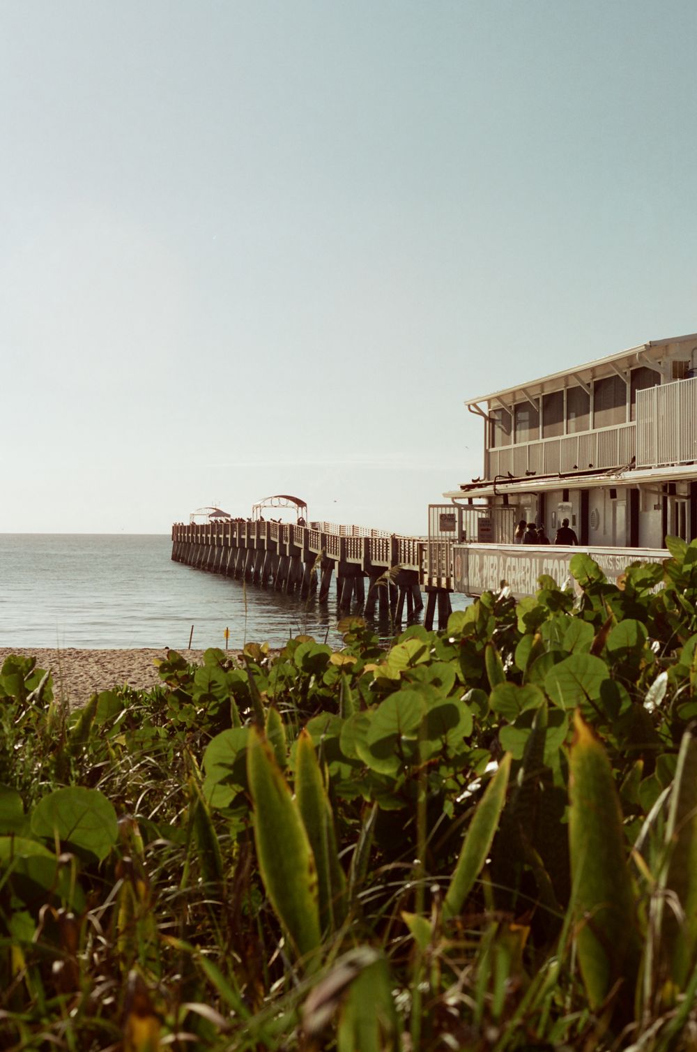 Coastal pier extending over calm ocean waters beside a two-story beachside building, framed by lush green tropical foliage.