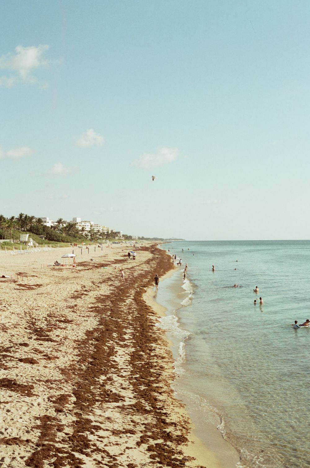 Aerial view of a tropical beach with seaweed line, calm turquoise water, swimmers, and resort buildings along the shore.
