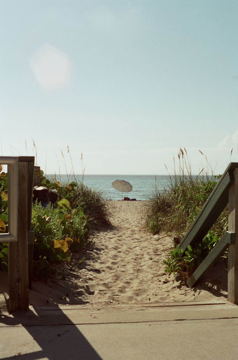 Sandy beach pathway flanked by sea oats and wooden railings leading to calm ocean with a single umbrella.