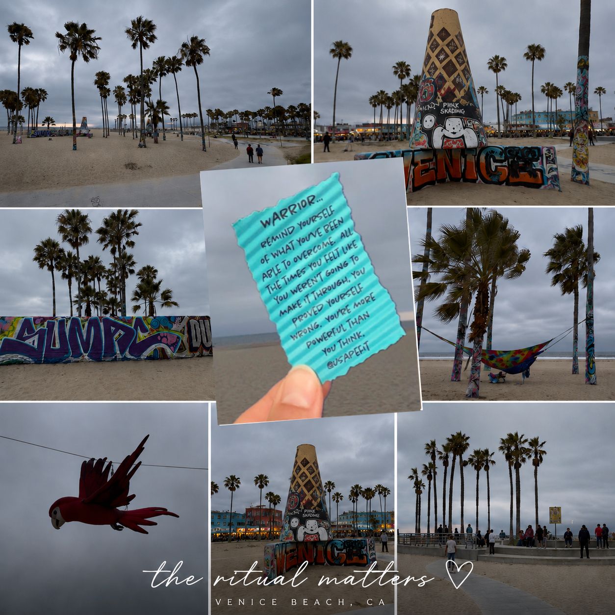 Collage of Venice Beach CA featuring palm trees, colorful murals, a turquoise warning sign, and a red bird at dusk.