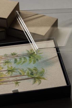 Elegant stationery set with tropical palm tree design displayed in an open black gift box with clear acrylic sheets.