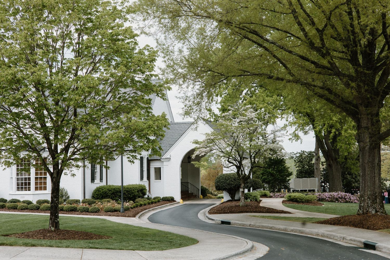 Tree-lined residential street with arching branches creating a natural canopy over a curved road near white houses.