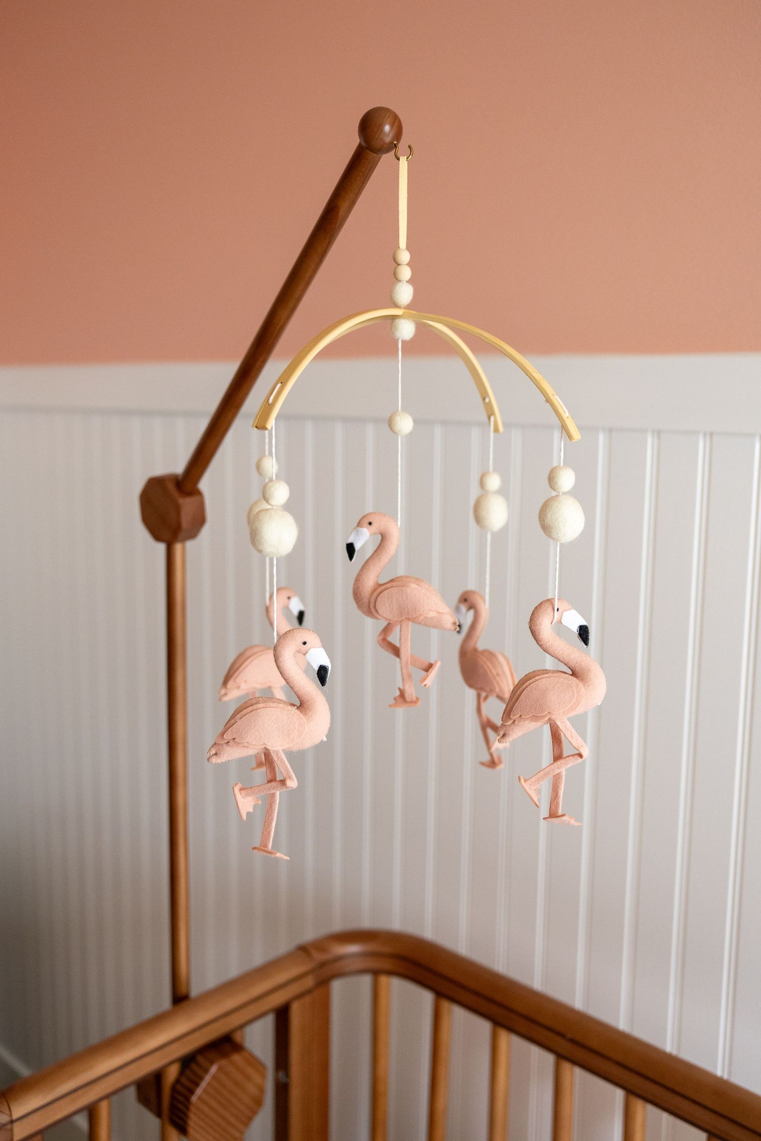 Raleigh Newborn Photography Flamingo Nursery Details
