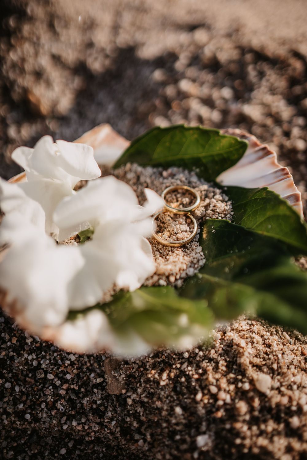 Wedding rings rest on a white gardenia flower with green leaves against a textured sand or soil background.