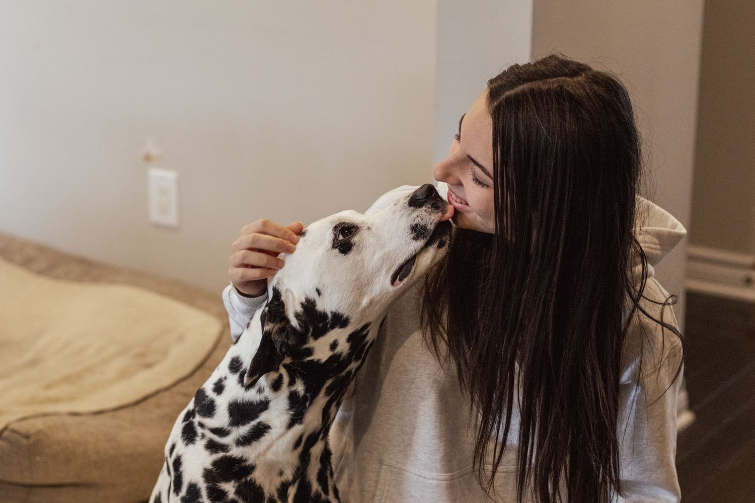 A Dalmatian dog giving kisses while snuggling on a bed with their owner.