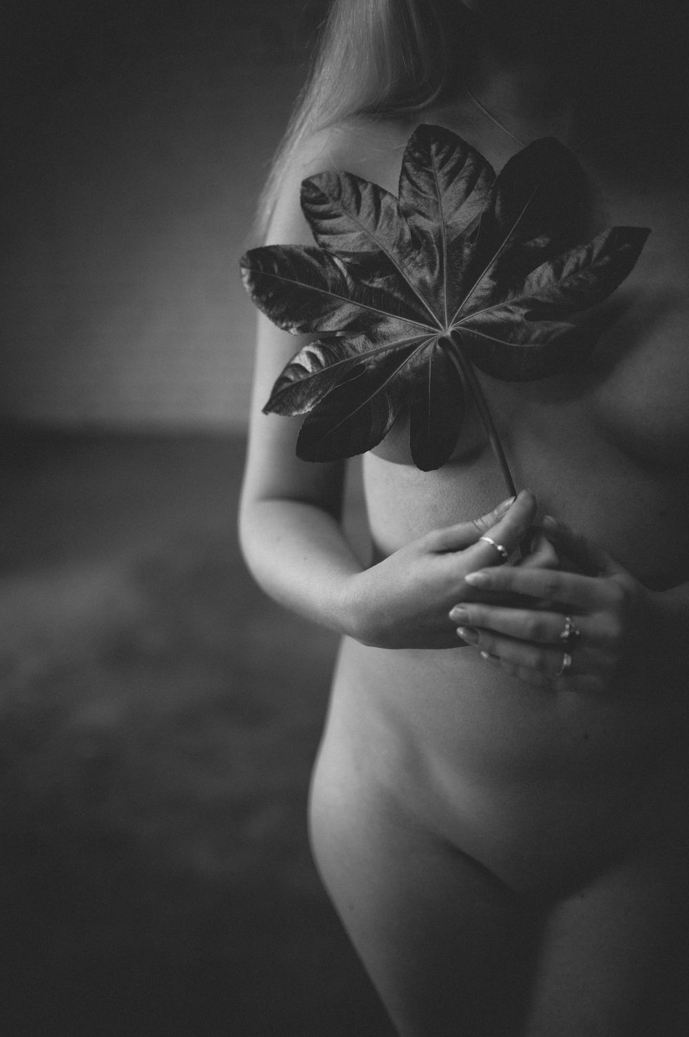Black and white artistic maternity photo with a person holding a large tropical leaf against their silhouette.
