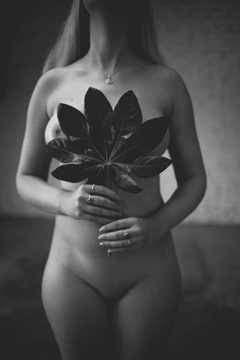 Artistic black and white nude photograph showing a person holding a large dark tropical leaf against bare skin.