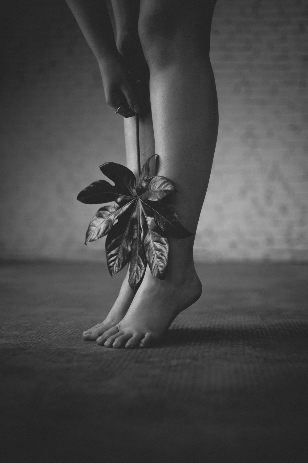 Artistic black and white photo of bare feet with a tropical leaf delicately positioned against the ankle.