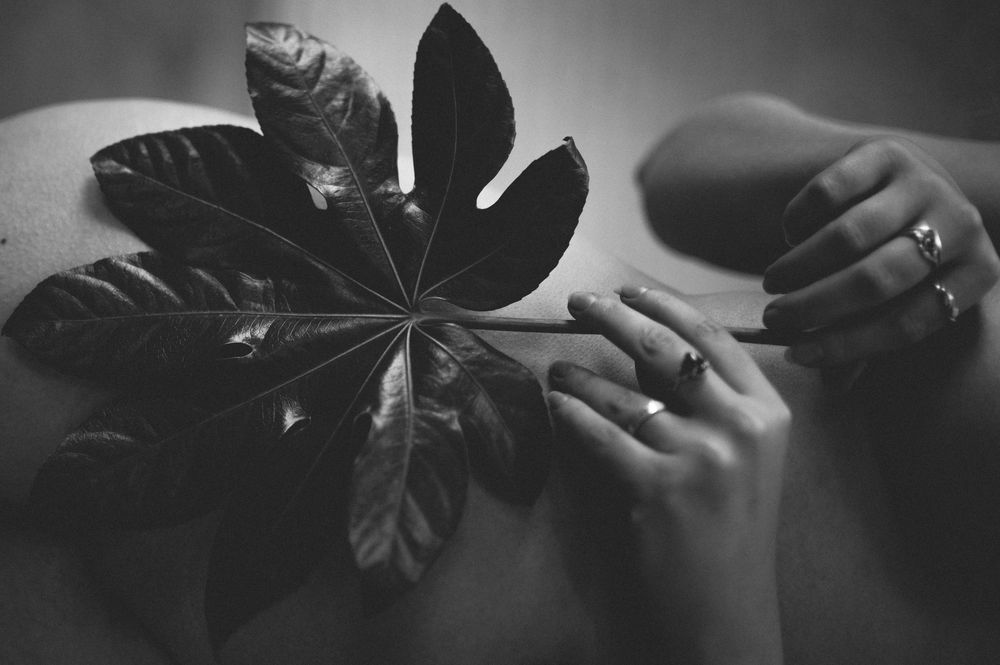Black and white artistic photograph of hands holding a large tropical leaf with dramatic lighting and composition.