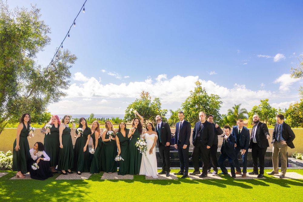 Wedding party stands in a decorative line formation outdoors against a bright blue sky on a sunny day.