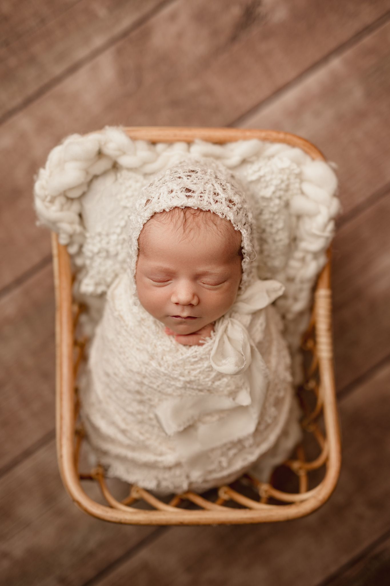 Newborn photographer in Wellington and Porirua