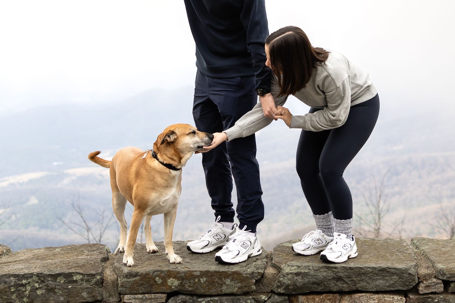 Two companions hike a rocky summit with their golden retriever dog against a cloudy mountain sky.