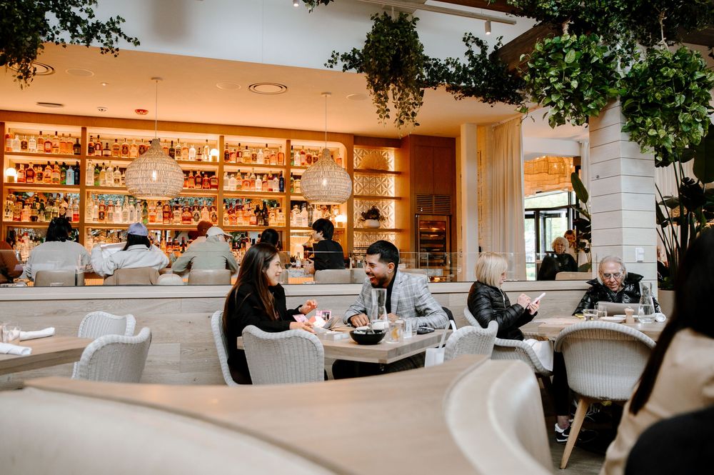 Elegant restaurant space features grey upholstered chairs and hanging greenery against white walls.