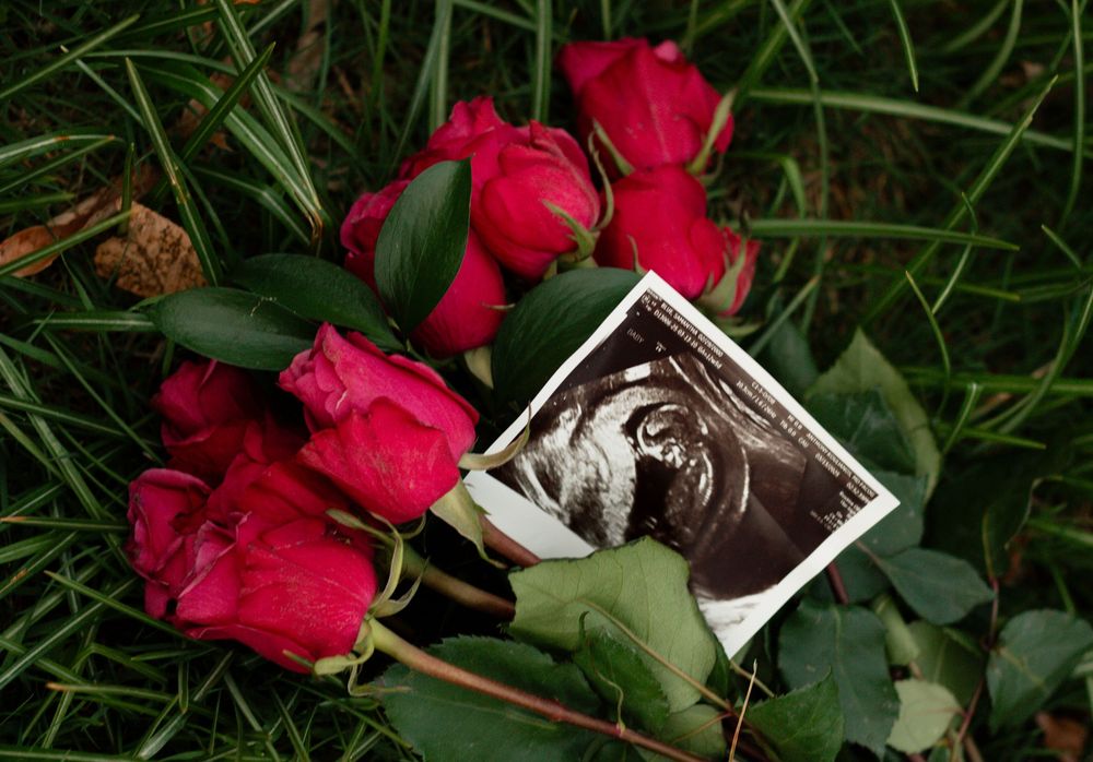 Red roses and chocolate truffles arranged romantically on green grass.