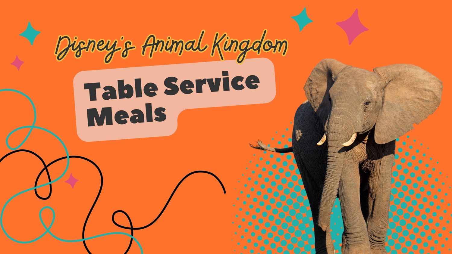 Disney's Animal Kingdom table service meals logo featuring an elephant silhouette on orange background.
