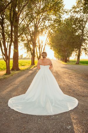 A flowing white wedding dress train spreads across a tree-lined path during golden hour sunset.