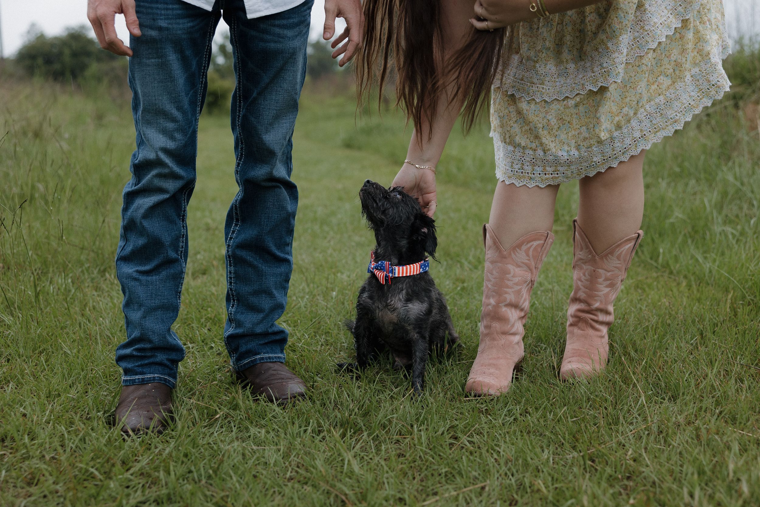 A couple stands with their small black dog in a grassy field.