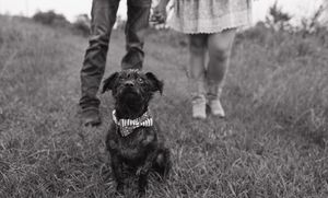 Black and white photo of a couple and their dog in a natural outdoor setting.