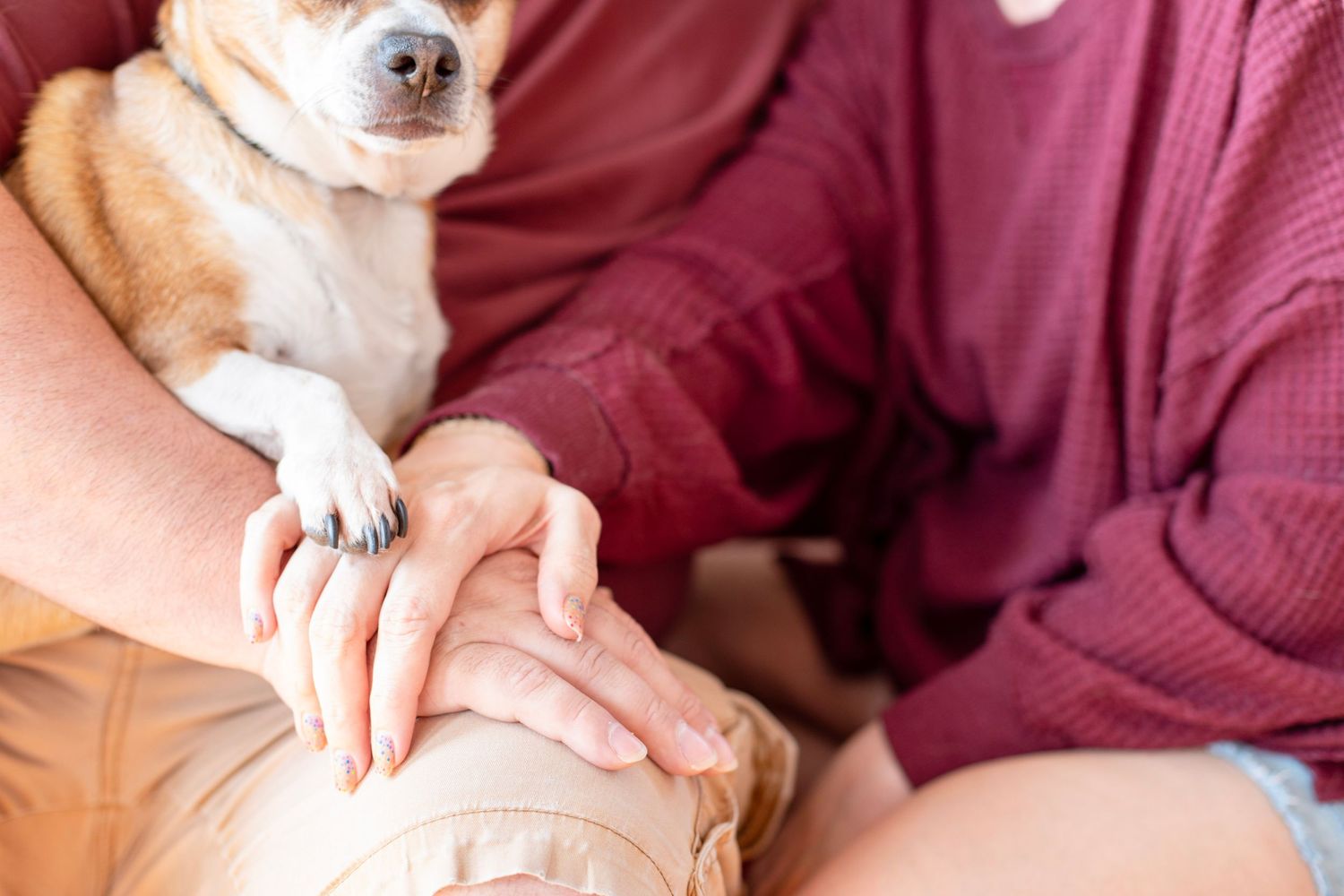Family with dog in Cincinnati studio showcasing premium, polished portraits for upscale clients