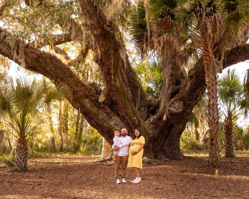 Couple posing under majestic oak tree with hanging moss at golden hour.
