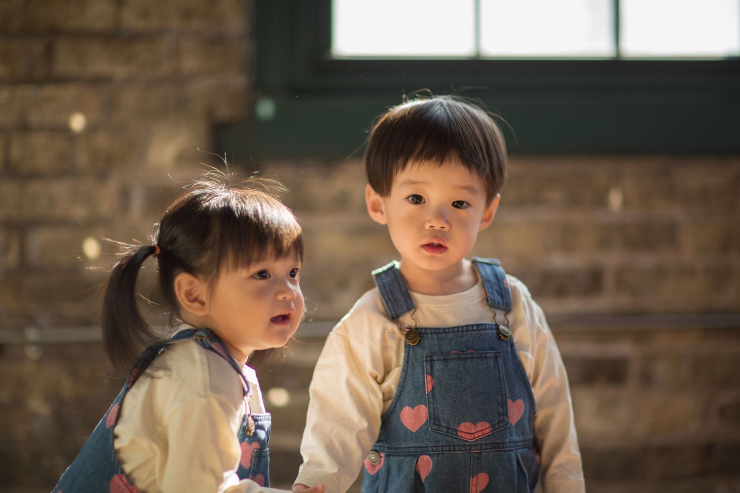 Two-year-old twins sitting in warm light during a Twin Cities indoor studio family photography session, looking at the camera