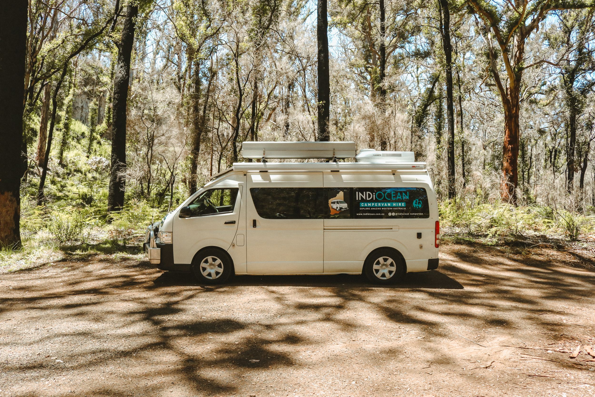 White camper van parked in shaded forest area surrounded by tall trees.