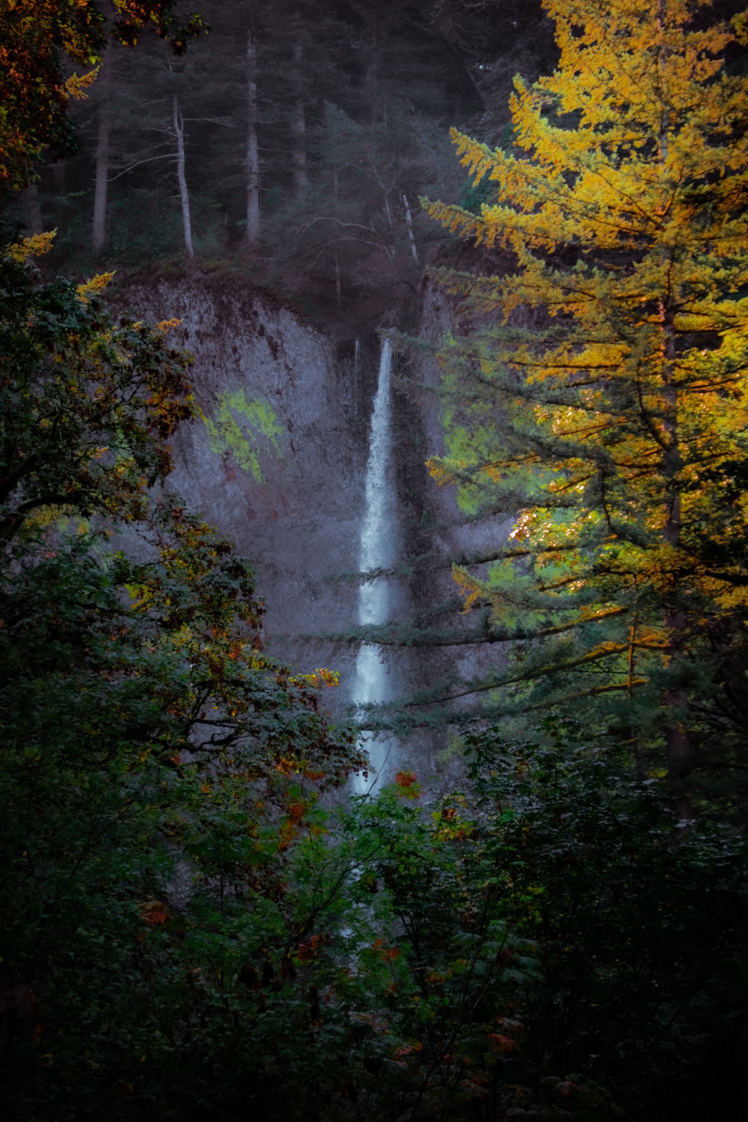 Tall cascading waterfall surrounded by autumn foliage and golden trees.