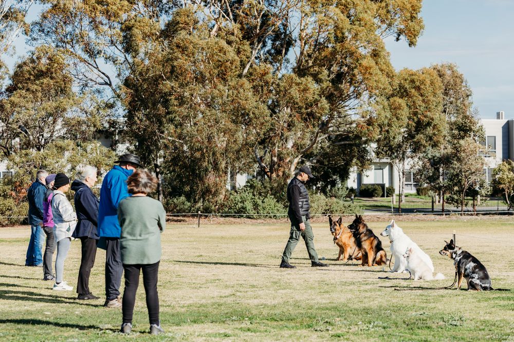 Werribee Obedience Dog Club Fun Day 2025