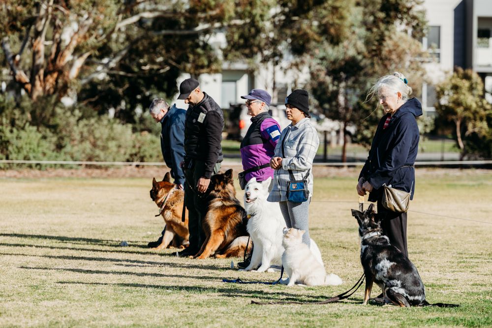 Werribee Obedience Dog Club Fun Day 2025